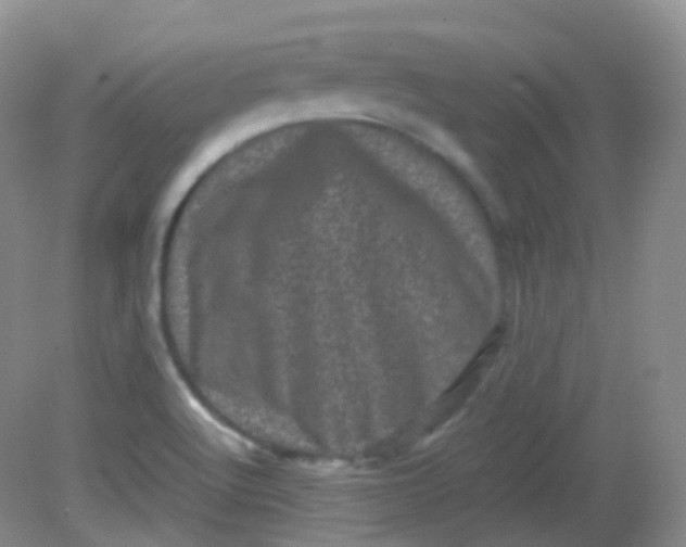 X0000081411512200701261810