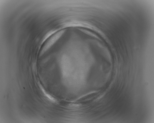 X0000081411513200701261810