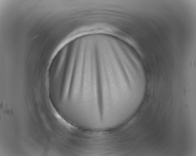 X0000081411516200701261810