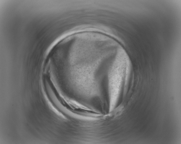 X0000081411518200701261810