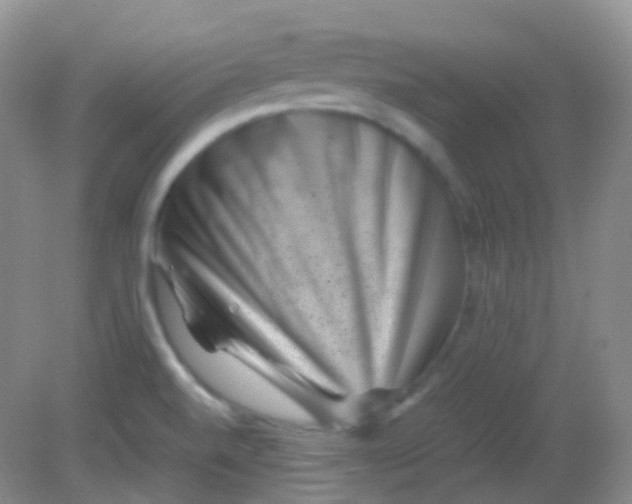X0000081411520200701261810
