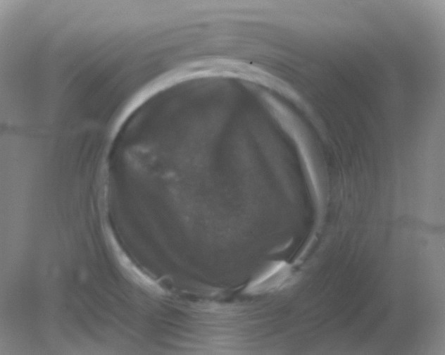 X0000081411522200701261810