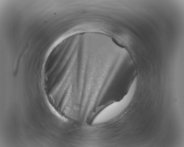 X0000081411528200701261811
