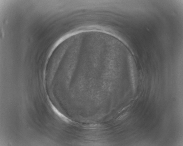 X0000081411535200701261811