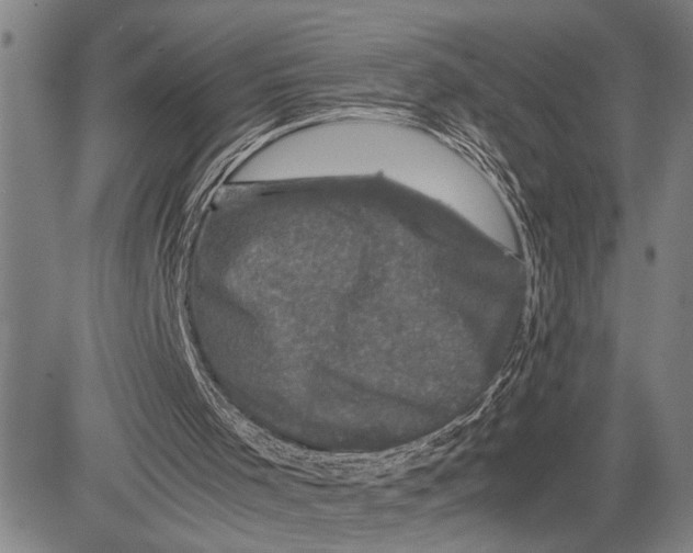 X0000081410001200702021614