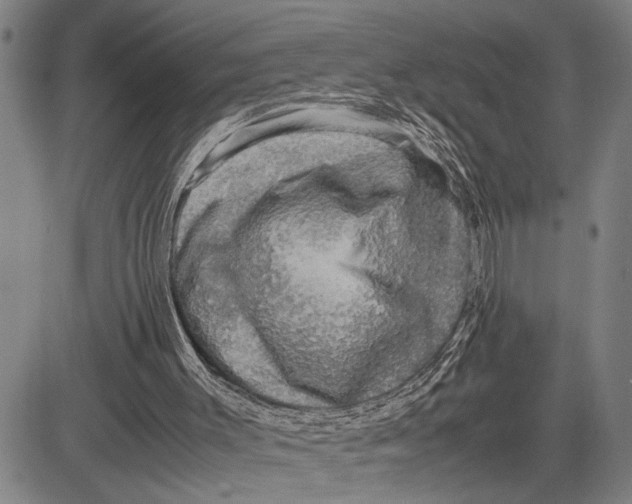 X0000081410003200702021614