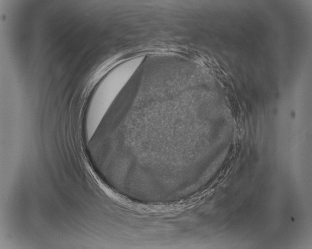 X0000081410005200702021614