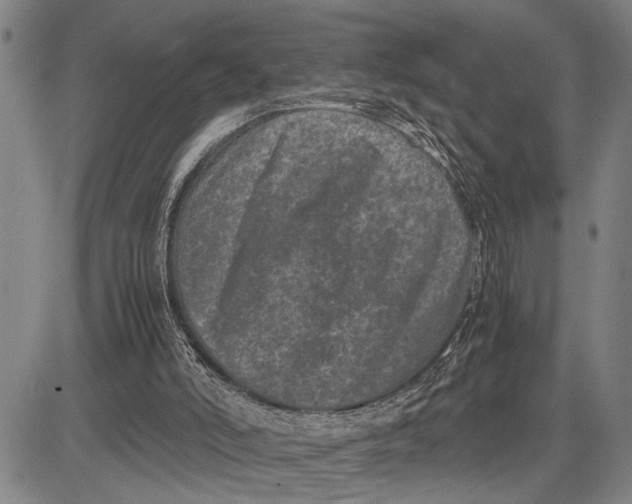 X0000081410006200702021614