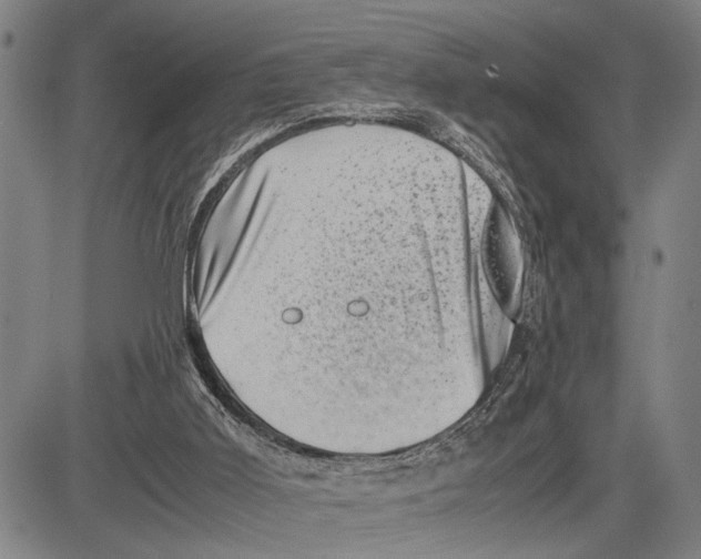 X0000081410011200702021614