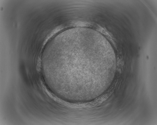 X0000081410012200702021614