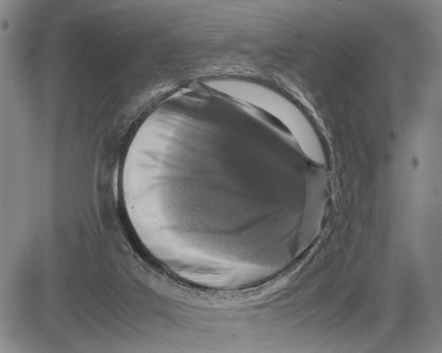 X0000081410019200702021614