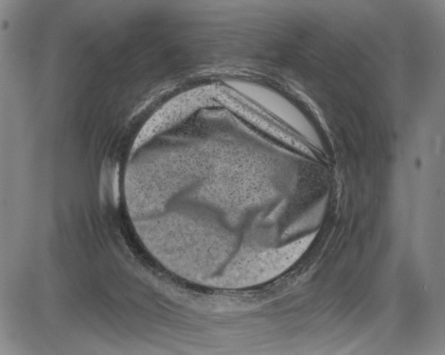 X0000081410020200702021614