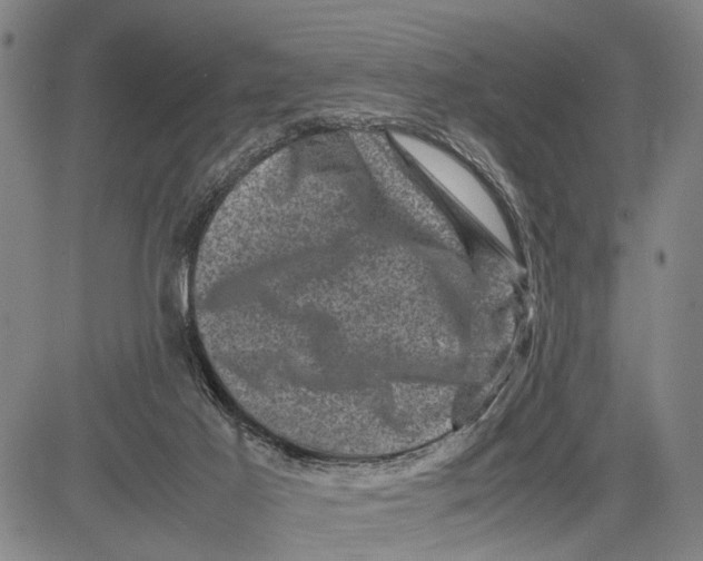 X0000081410021200702021614