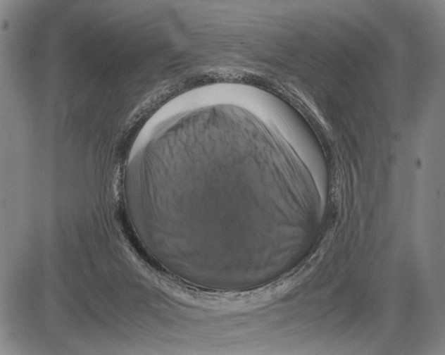 X0000081410023200702021614
