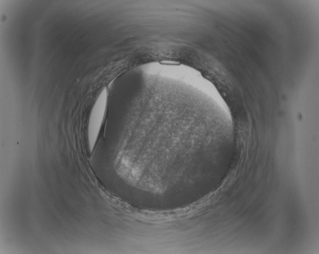 X0000081410029200702021613