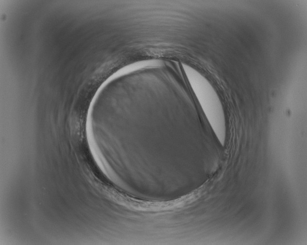 X0000081410031200702021613