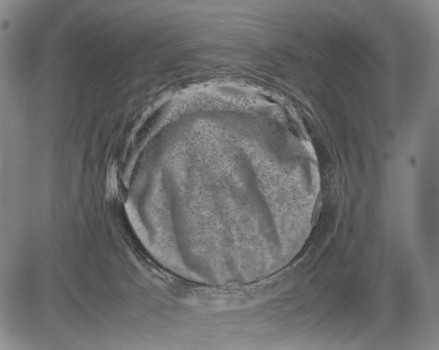 X0000081410033200702021613