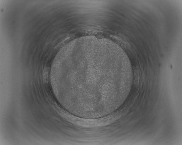 X0000081410034200702021613