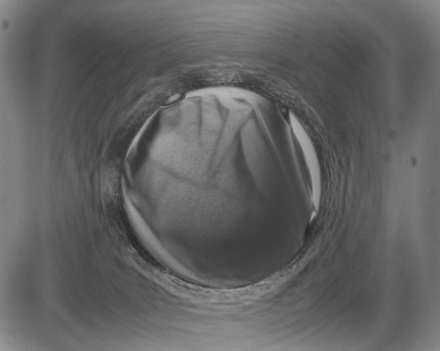 X0000081410035200702021613