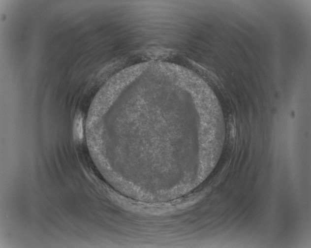 X0000081410042200702021613