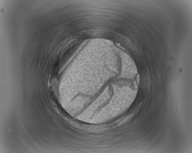 X0000081410044200702021613