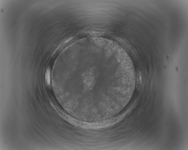 X0000081410046200702021613