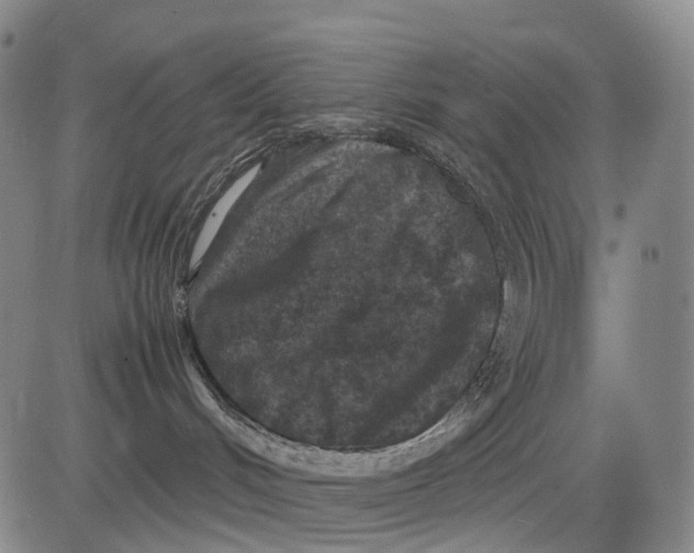 X0000081410048200702021613