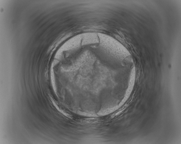 X0000081410050200702021612