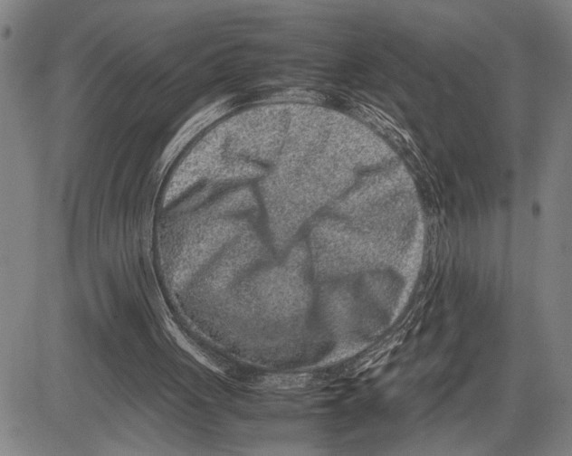 X0000081410051200702021612