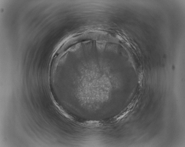 X0000081410052200702021612