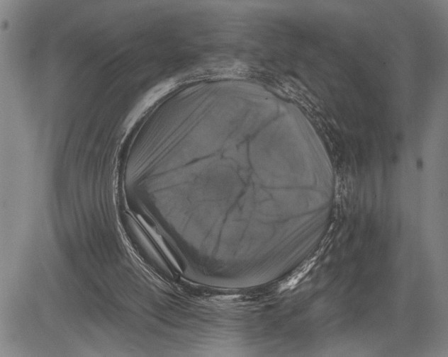X0000081410054200702021612