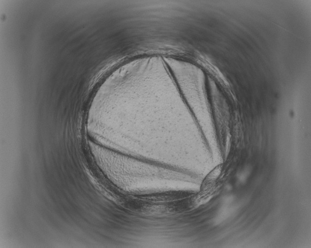 X0000081410058200702021612
