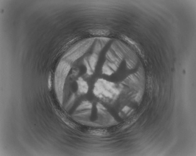 X0000081410069200702021613