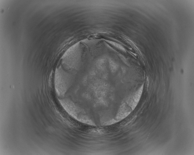 X0000081410071200702021613