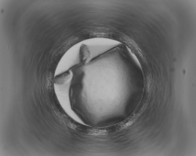 X0000081410073200702021613