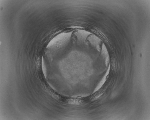 X0000081410077200702021613