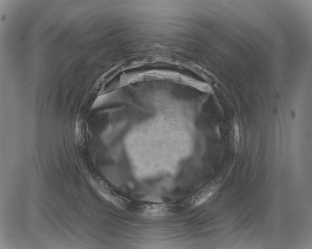 X0000081410088200702021613