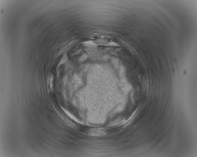 X0000081410094200702021613