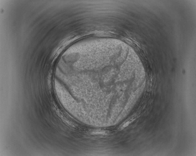 X0000081410098200702021612