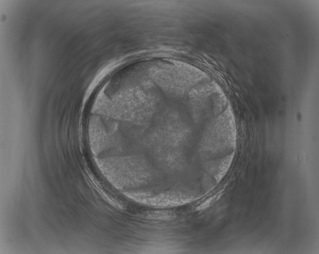 X0000081410102200702021612
