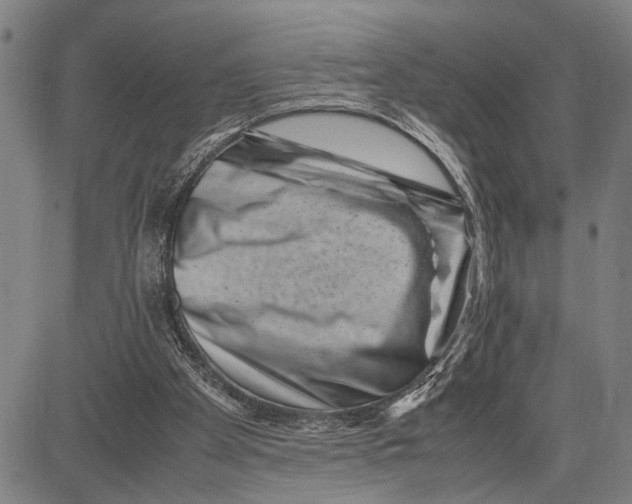 X0000081410105200702021612
