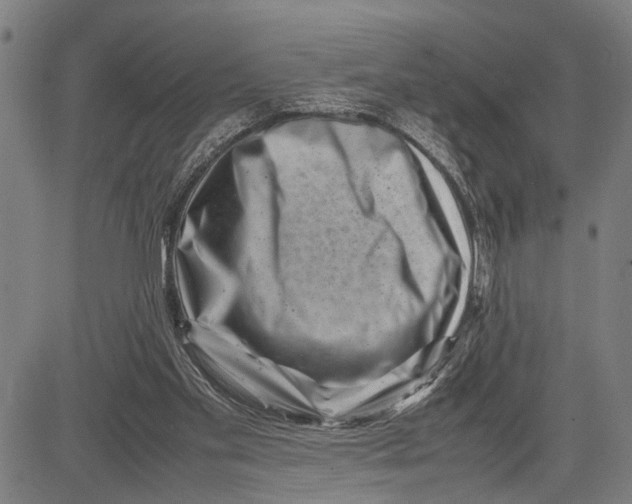 X0000081410109200702021612