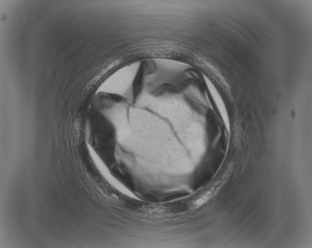 X0000081410113200702021612