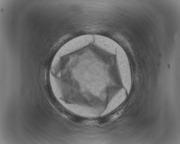 X0000081410115200702021612