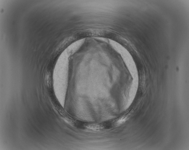 X0000081410123200702021612