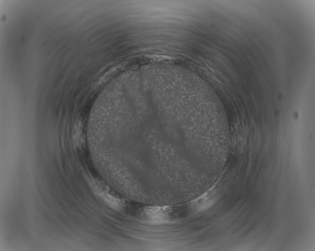 X0000081410136200702021612