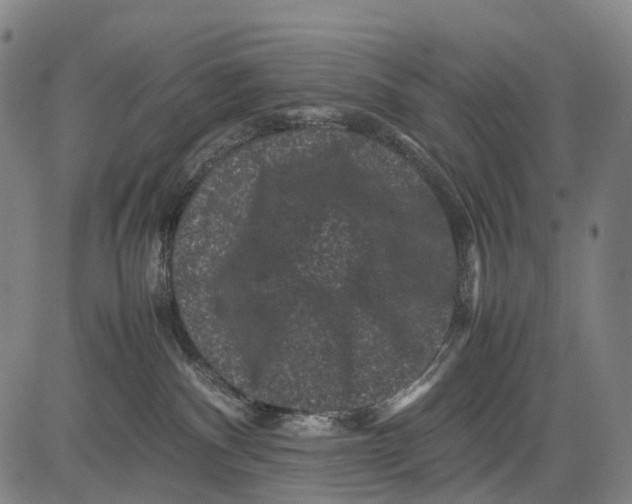 X0000081410140200702021612
