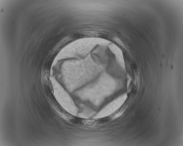 X0000081410141200702021612