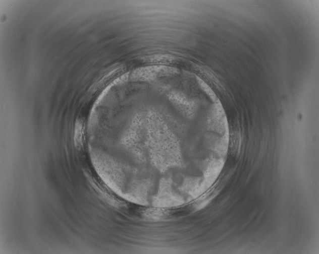 X0000081410142200702021612
