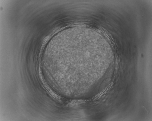X0000081410145200702021611